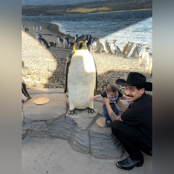 Meet your Posher, Ruddy - Picture 1 of 1